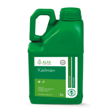 Кайман