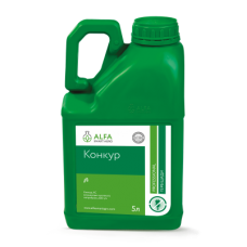 Конкур